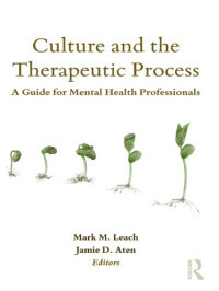 Image of Culture and the
Therapeutic Process
A Guide for Mental Health Professionals