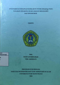 Image of INVENTARIS SERANGAN HAMA KUTU PUTIH (Mealybug) PADA TANAMAN SINGKONG DI KECAMATAN ROGOJAMPI DAN SINGOJURUH